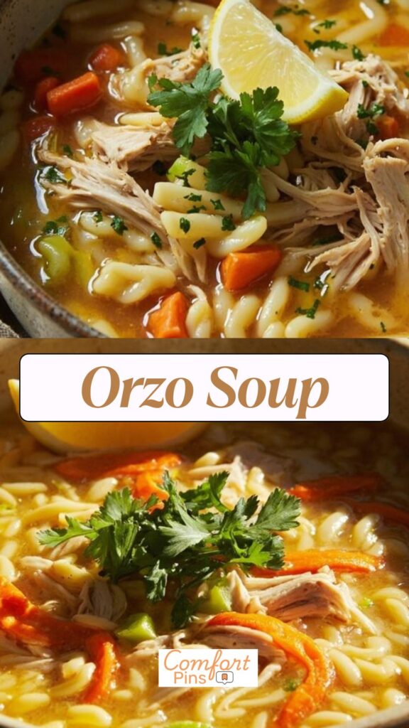 Orzo Soup