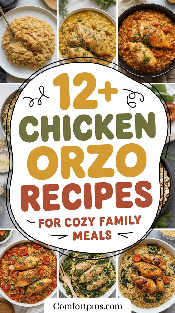 12+ Chicken Orzo Recipes