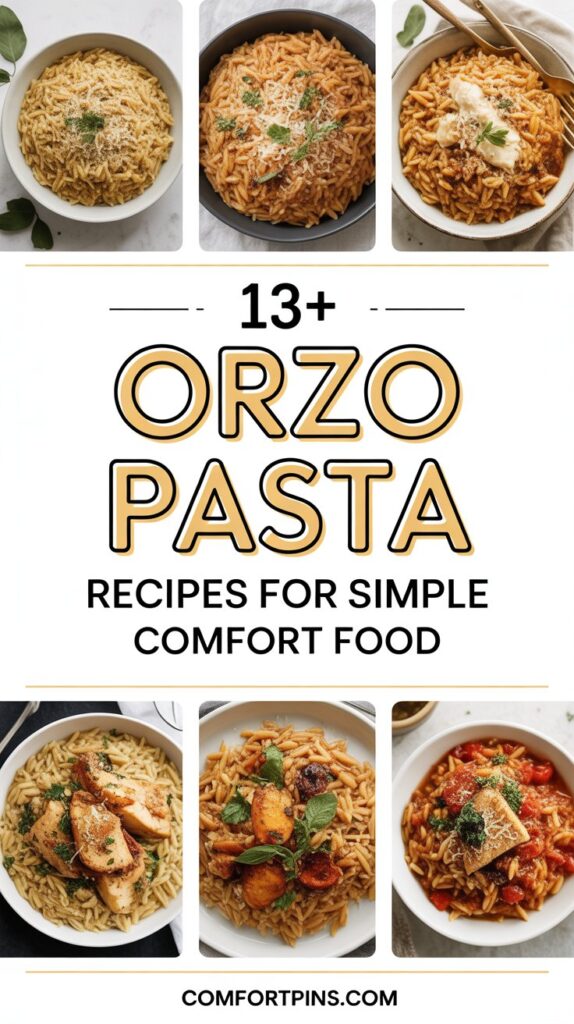 13+ Orzo Pasta Recipes for Simple Comfort Food