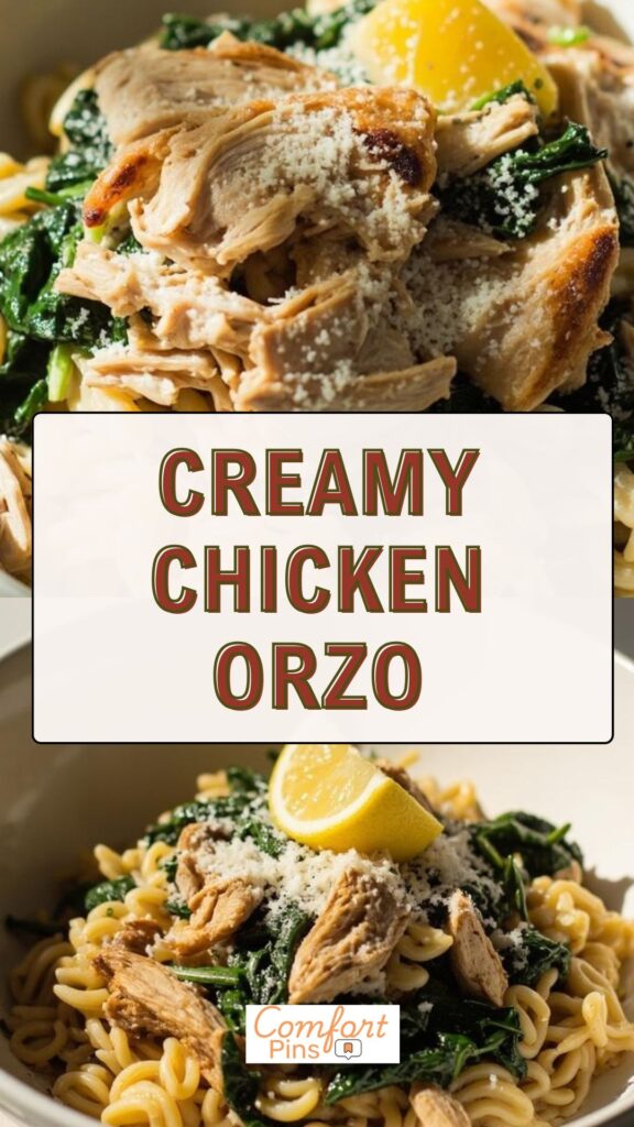 Creamy Chicken Orzo
