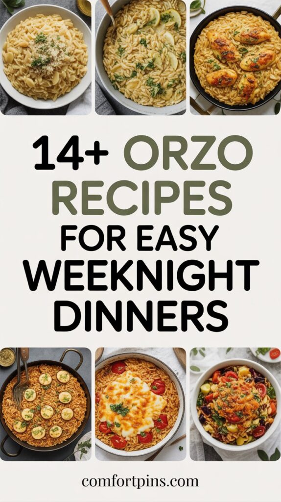 14+ Orzo Recipes for Easy Weeknight Dinners