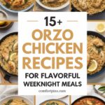 15+ Orzo Chicken Recipes for Flavorful Weeknight Meals