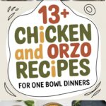13+ Chicken and Orzo Recipes for One Bowl Dinners