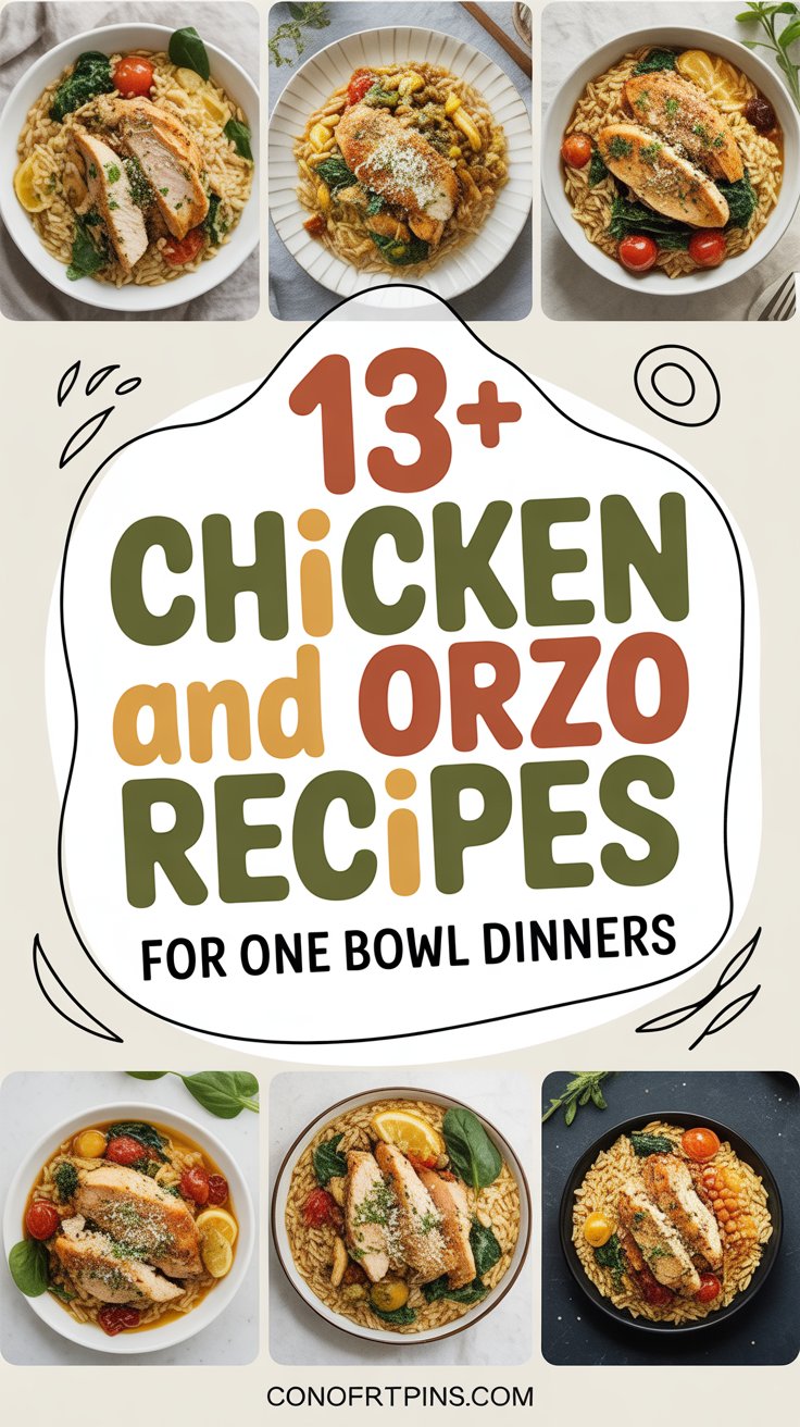 13+ Chicken and Orzo Recipes for One Bowl Dinners