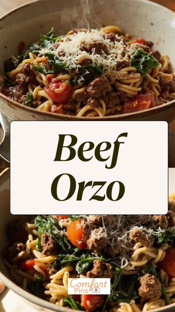 Beef Orzo