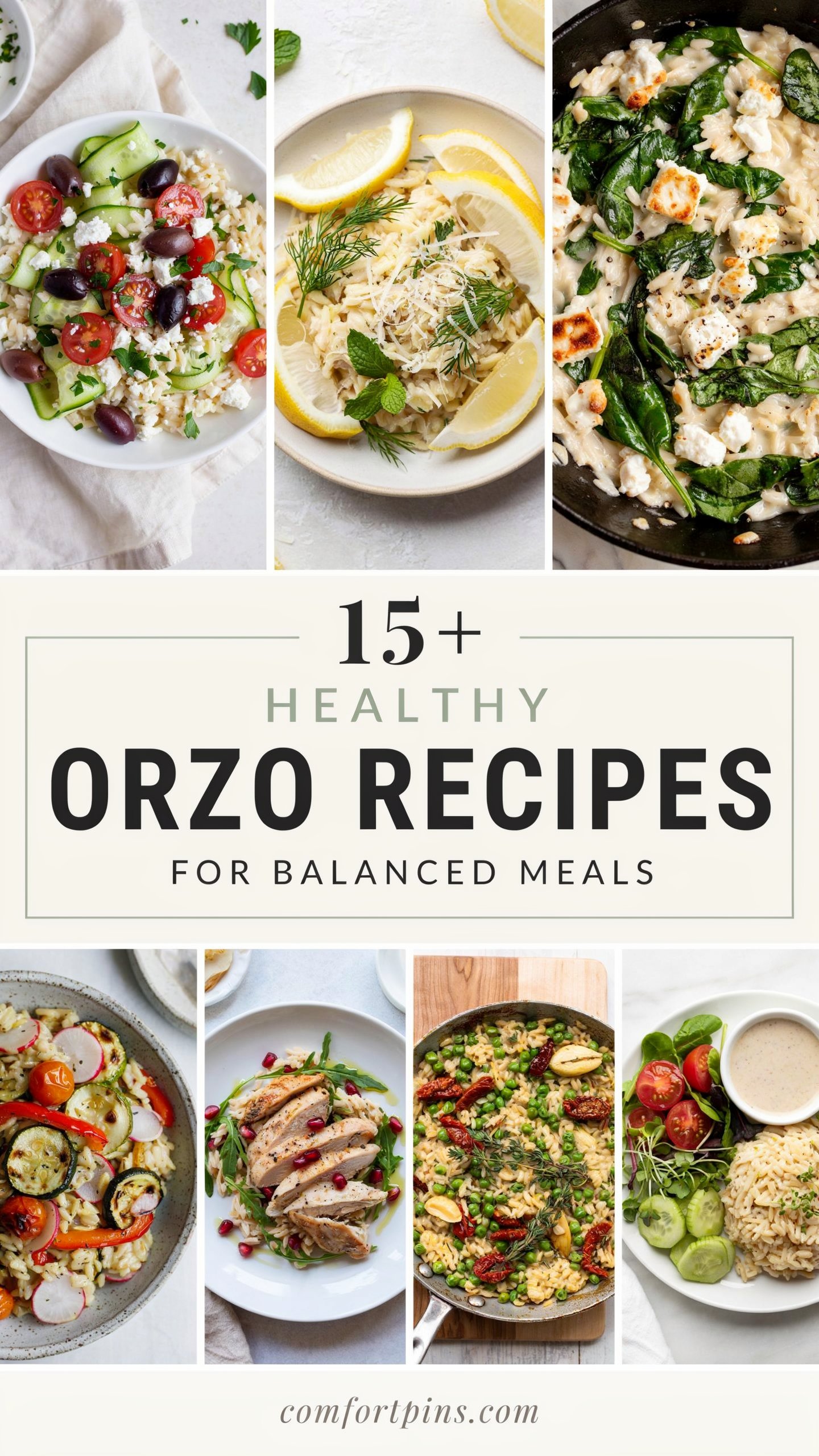 15+ Healthy Orzo Recipes for Balanced Meals