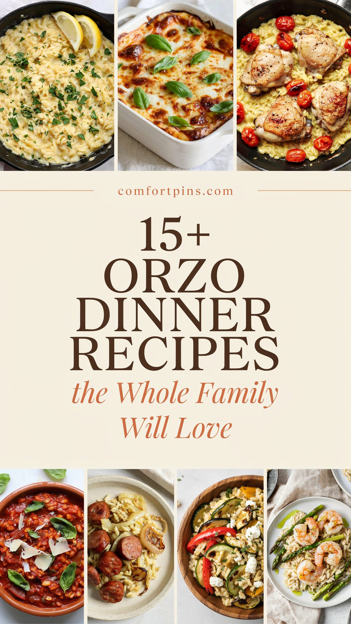 15+ Orzo Dinner Recipes the Whole Family Will Love