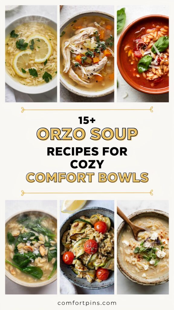 15+ Orzo Soup Recipes for Cozy Comfort Bowls