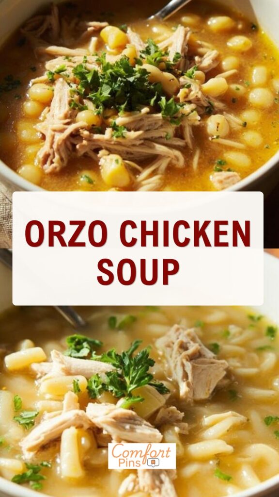 Orzo Chicken Soup