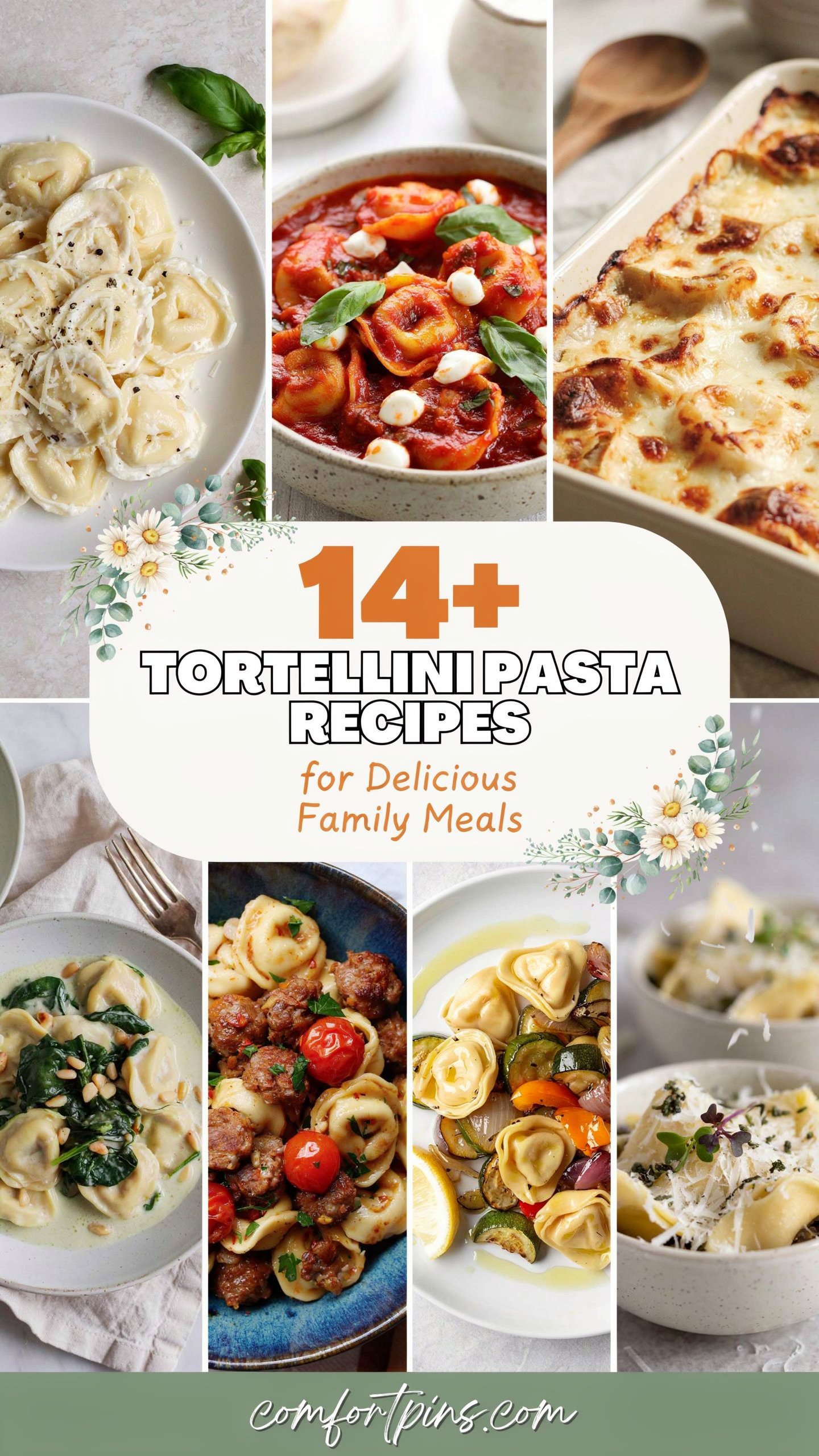 14+ Tortellini Pasta Recipes for Delicious Family Meals